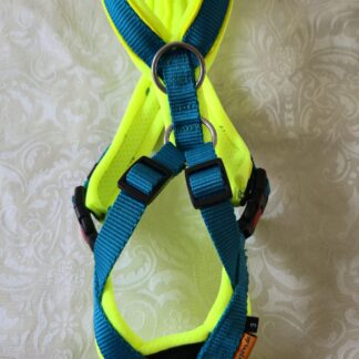 Trailgeschirr Nukka® (auf Lager) - petrol / neon-gelb mit Paspelband, Größe 3, extra Ring am Rücken