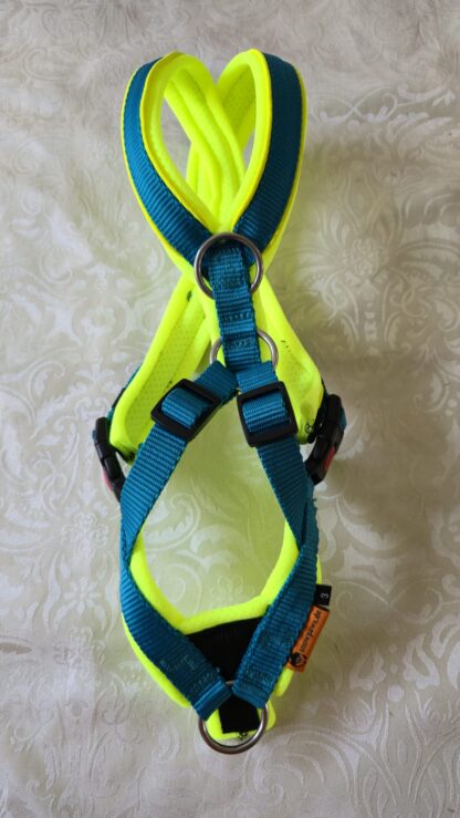 Trailgeschirr Nukka® (auf Lager) - petrol / neon-gelb mit Paspelband, Größe 3, extra Ring am Rücken
