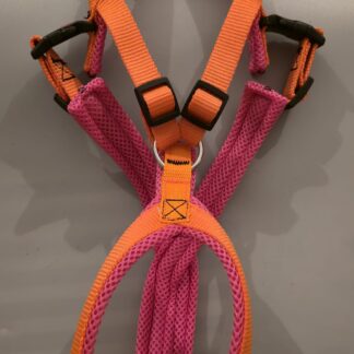 Trailgeschirr Nukka® (auf Lager) - neonorange / neonpink (Airmesh), Größe 4
