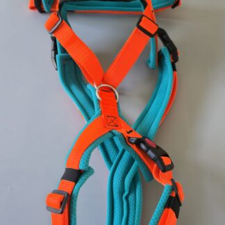 Trailgeschirr Nukka®1size (auf Lager) - neonorange / türkis (Airmesh), Größe M, mit Flauschkreis und Bauchgurt