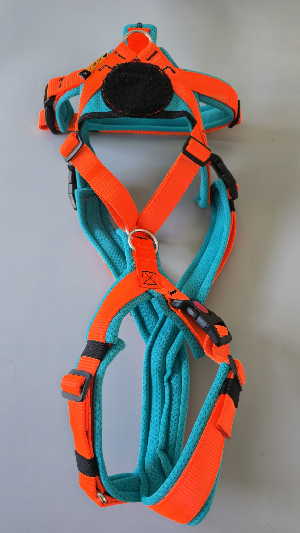 Trailgeschirr Nukka®1size (auf Lager) - neonorange / türkis (Airmesh), Größe M, mit Flauschkreis und Bauchgurt